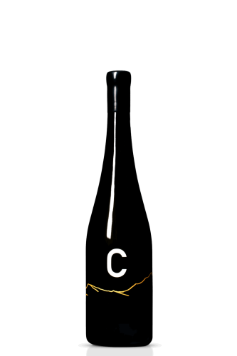 WysC_riesling2023_cien-1024x1536.png