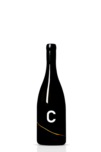 WysC_pinotn2023_cien-1024x1536.png